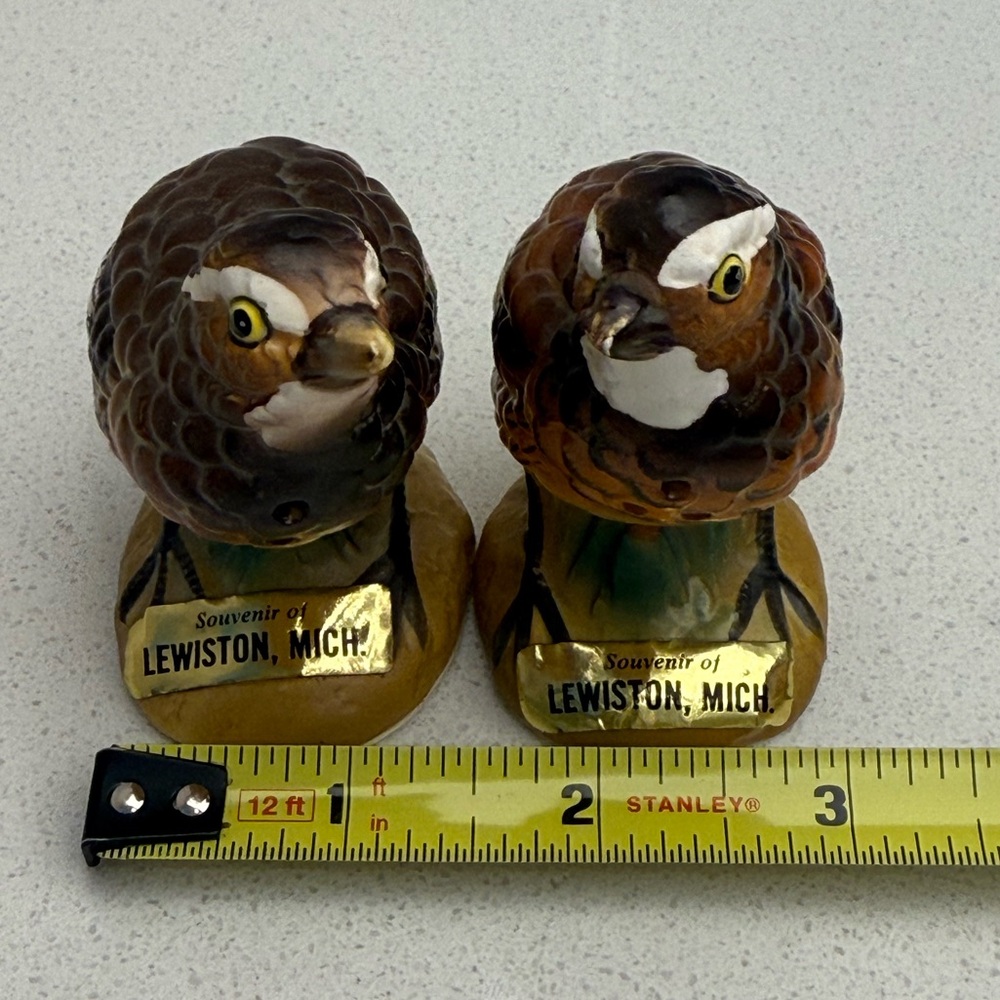 Vintage Salt & Pepper Shakers Souvenir Lewiston Michigan Quails Pair of Birds - Picture 12 of 13